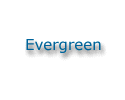 Evergreen Marine Website